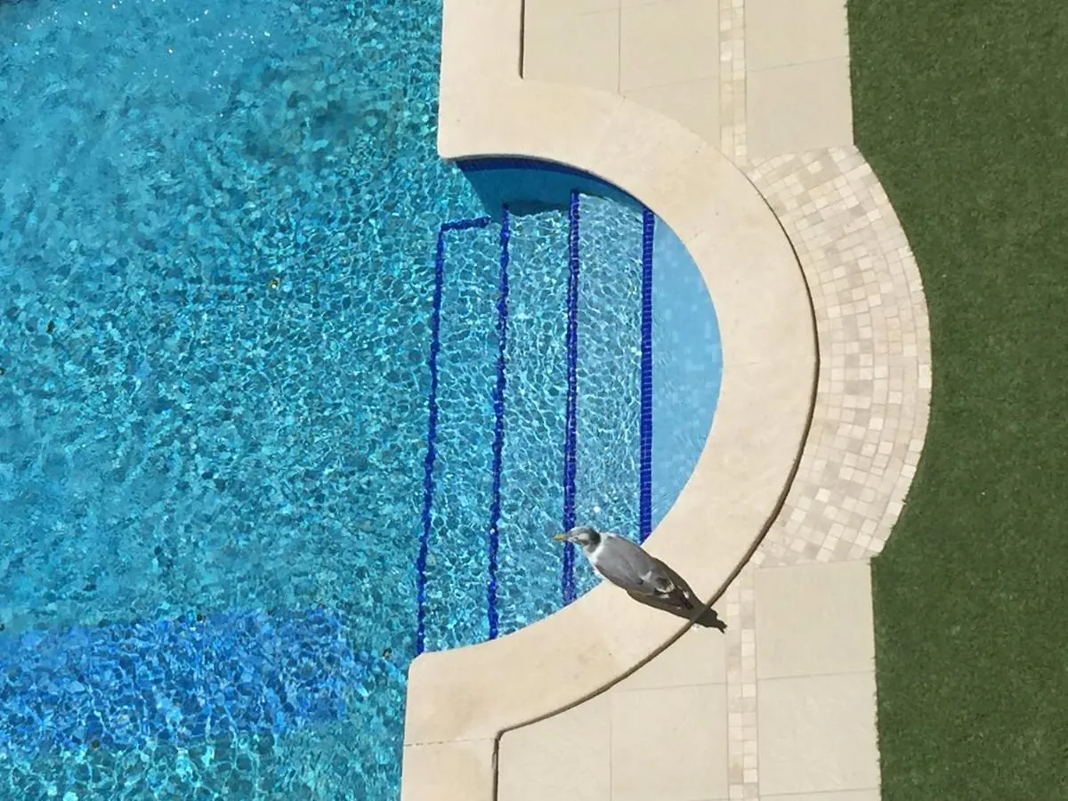 Appartement 3 Min Walking To Peneco Beach Albufeira , Apart + Pool + Wifi Portugal